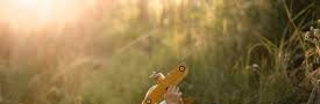 AmanTest3_ FF Cover Image